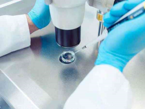 广州供卵机构真实案例：成功喜悦与挑战并存