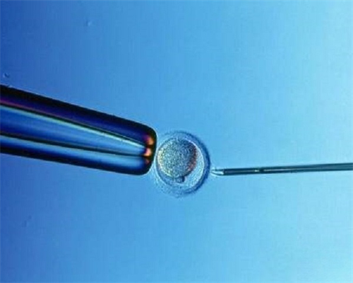 广州三甲医院合作供卵机构推荐清单与选择指南