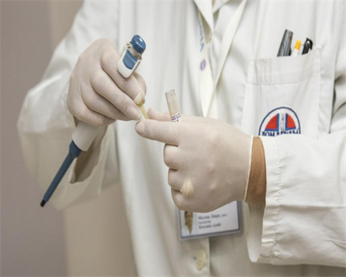 美日供卵机构全方位对比：成本与服务质量深度解析