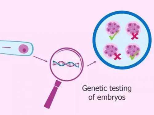 广州地区哪里可以进行试管助孕？一览市人民医院辅助生殖技术