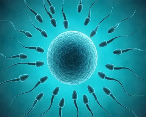 48岁女性生育选择：海外与国内供卵方式对比