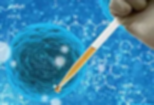 单身女性借卵生育圆梦之路解析