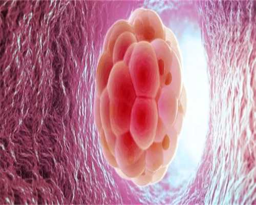 优质供卵机构隐私保护的关键特征解析